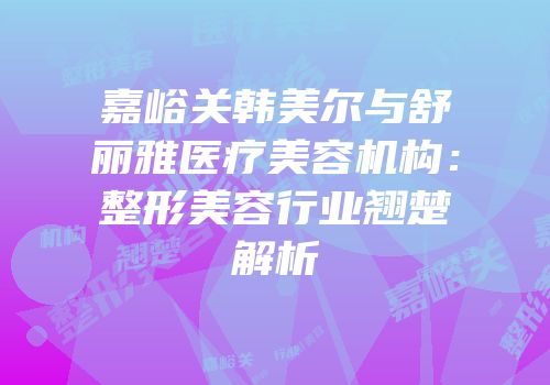 嘉峪关韩美尔与舒丽雅医疗美容机构：整形美容行业翘楚解析