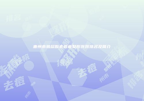 惠州市玻尿酸去痘疤整形医院排名及简介