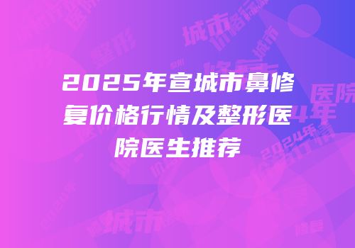 2025年宣城市鼻修复价格行情及整形医院医生推荐