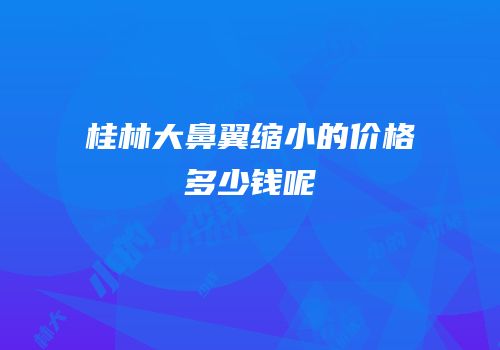 桂林大鼻翼缩小的价格多少钱呢