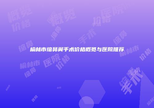 榆林市缩鼻翼手术价格概览与医院推荐