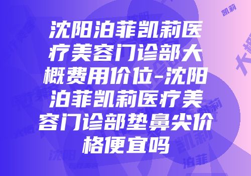 沈阳泊菲凯莉医疗美容门诊部大概费用价位-沈阳泊菲凯莉医疗美容门诊部垫鼻尖价格便宜吗