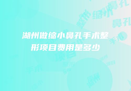 湖州做缩小鼻孔手术整形项目费用是多少
