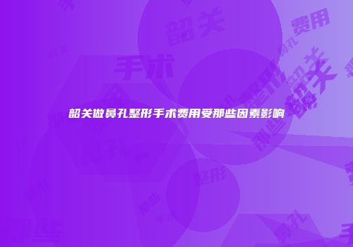 韶关做鼻孔整形手术费用受那些因素影响