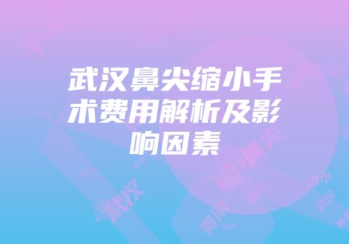 武汉鼻尖缩小手术费用解析及影响因素