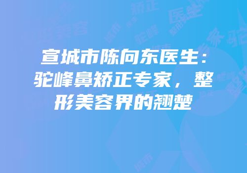 宣城市陈向东医生：驼峰鼻矫正专家，整形美容界的翘楚