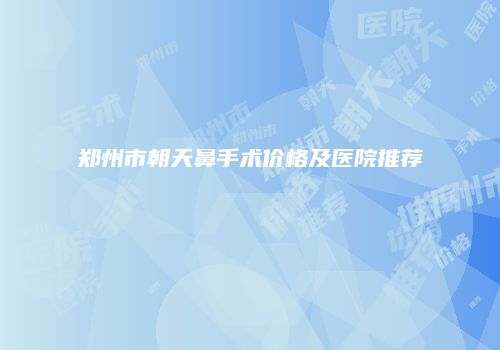 郑州市朝天鼻手术价格及医院推荐