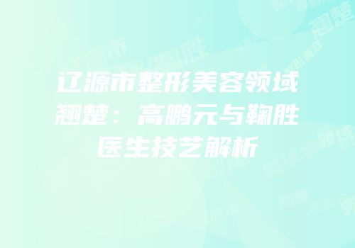 辽源市整形美容领域翘楚：高鹏元与鞠胜医生技艺解析