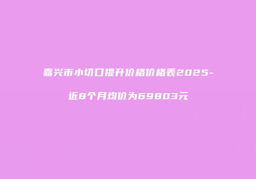嘉兴市小切口提升价格价格表2025-近8个月均价为69803元