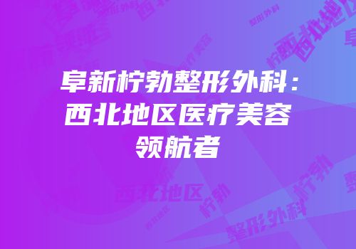 阜新柠勃整形外科：西北地区医疗美容领航者