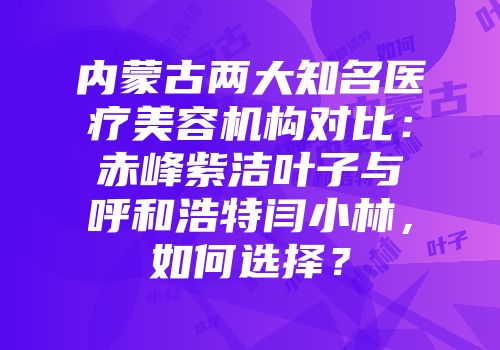 内蒙古两大知名医疗美容机构对比：赤峰紫洁叶子与呼和浩特闫小林，如何选择？
