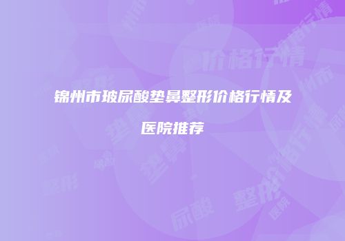 锦州市玻尿酸垫鼻整形价格行情及医院推荐