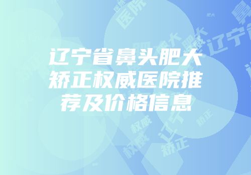 辽宁省鼻头肥大矫正权威医院推荐及价格信息