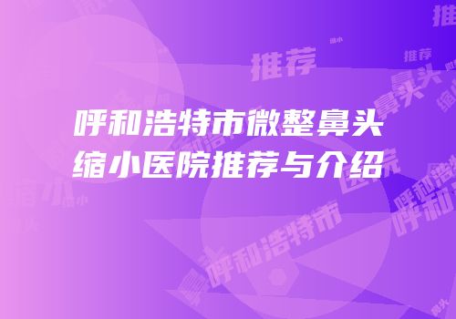 呼和浩特市微整鼻头缩小医院推荐与介绍