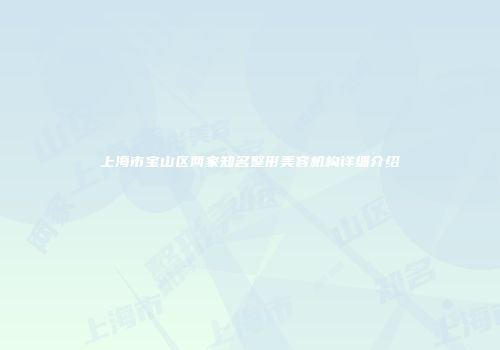 上海市宝山区两家知名整形美容机构详细介绍