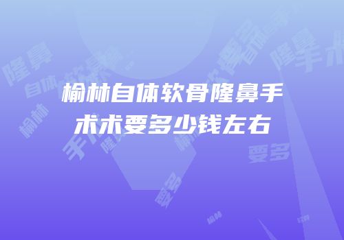 榆林自体软骨隆鼻手术术要多少钱左右