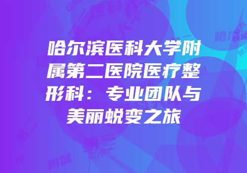 哈尔滨医科大学附属第二医院医疗整形科：专业团队与美丽蜕变之旅