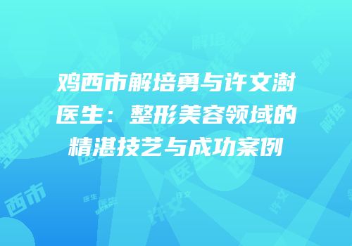 鸡西市解培勇与许文澍医生：整形美容领域的精湛技艺与成功案例