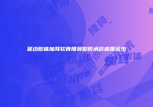 延边膨体加耳软骨隆鼻整形术价格是多少