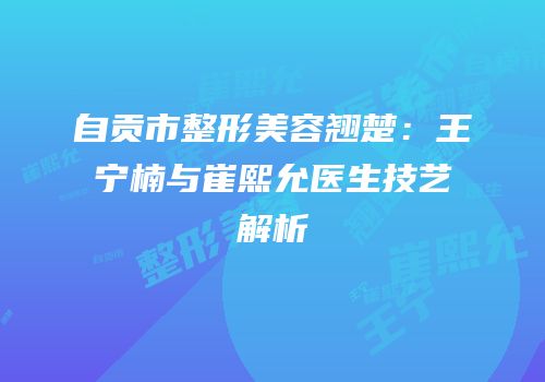 自贡市整形美容翘楚：王宁楠与崔熙允医生技艺解析