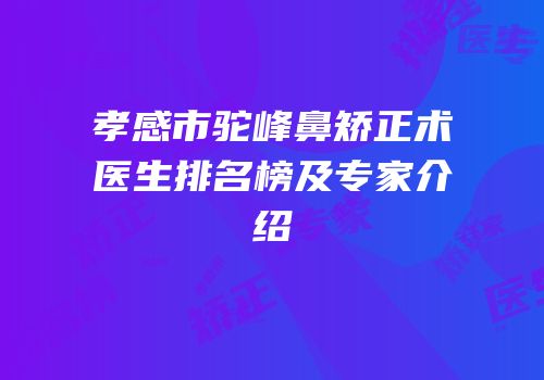 孝感市驼峰鼻矫正术医生排名榜及专家介绍