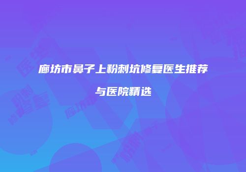 廊坊市鼻子上粉刺坑修复医生推荐与医院精选