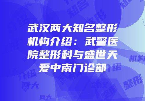 武汉两大知名整形机构介绍：武警医院整形科与盛世天爱中南门诊部