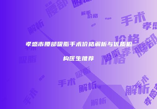 孝感市腰部吸脂手术价格解析与优质机构医生推荐