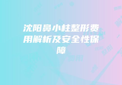 沈阳鼻小柱整形费用解析及安全性保障