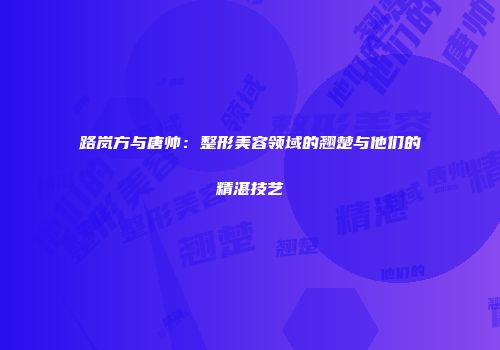 路岚方与唐帅：整形美容领域的翘楚与他们的精湛技艺
