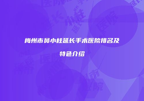 梅州市鼻小柱延长手术医院排名及特色介绍