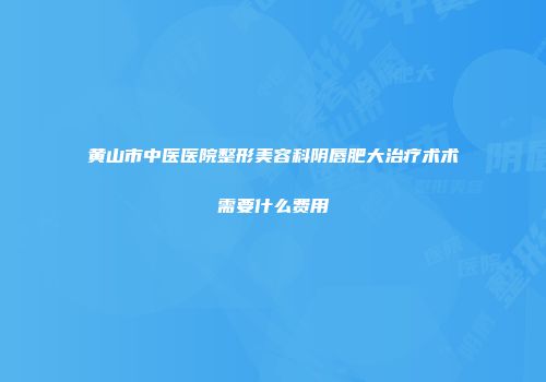 黄山市中医医院整形美容科阴唇肥大治疗术术需要什么费用