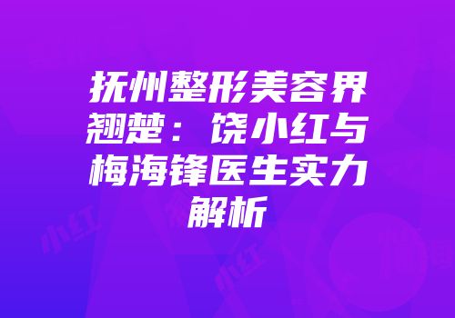 抚州整形美容界翘楚：饶小红与梅海锋医生实力解析