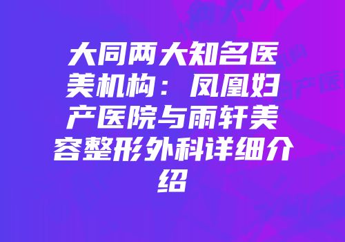 大同两大知名医美机构：凤凰妇产医院与雨轩美容整形外科详细介绍