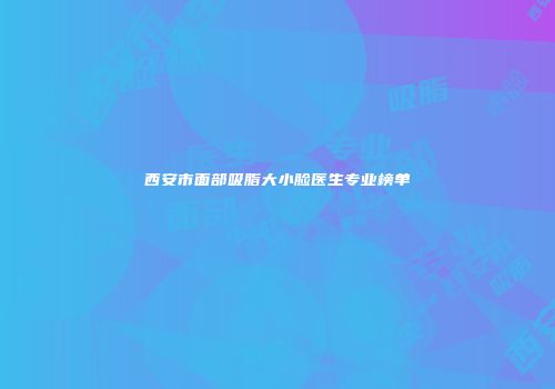 西安市面部吸脂大小脸医生专业榜单