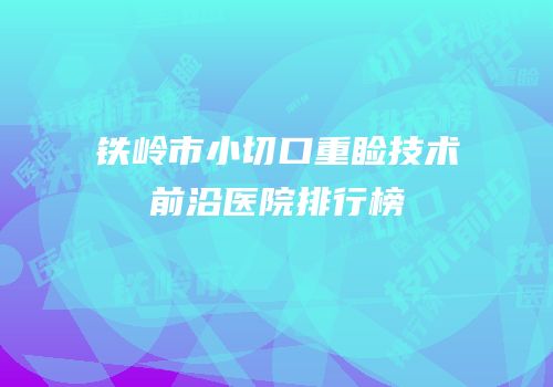 铁岭市小切口重睑技术前沿医院排行榜