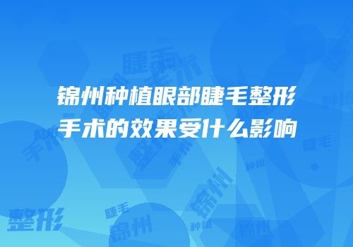 锦州种植眼部睫毛整形手术的效果受什么影响