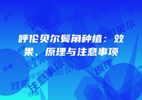 呼伦贝尔鬓角种植：效果、原理与注意事项