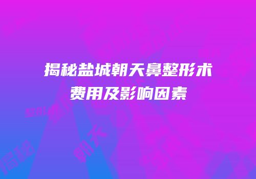揭秘盐城朝天鼻整形术费用及影响因素
