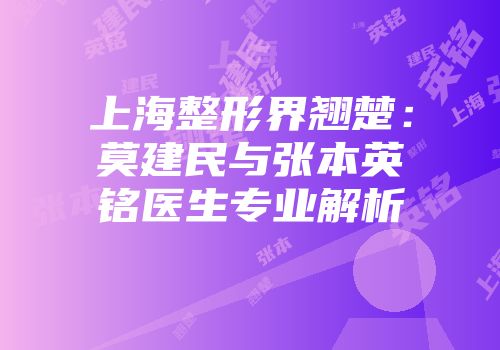 上海整形界翘楚：莫建民与张本英铭医生专业解析
