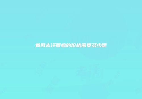 黄冈去汗管瘤的价格需要多少呢