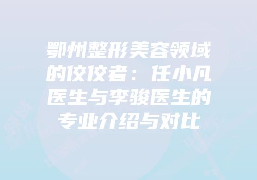 鄂州整形美容领域的佼佼者：任小凡医生与李骏医生的专业介绍与对比