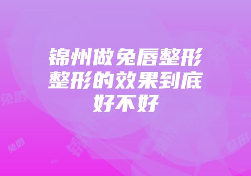 锦州做兔唇整形整形的效果到底好不好