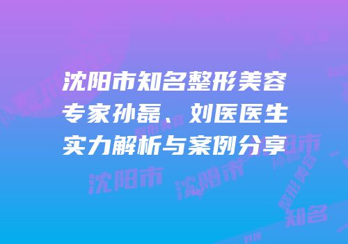 沈阳市知名整形美容专家孙磊、刘医医生实力解析与案例分享