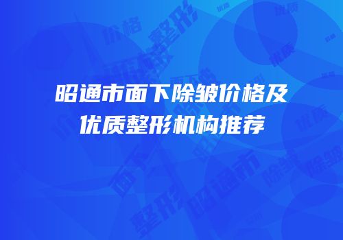 昭通市面下除皱价格及优质整形机构推荐