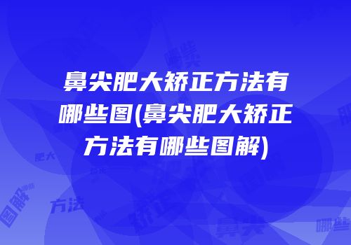 鼻尖肥大矫正方法有哪些图(鼻尖肥大矫正方法有哪些图解)