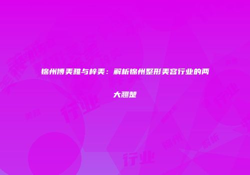 锦州博美雅与梓美：解析锦州整形美容行业的两大翘楚