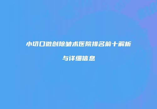 小切口微创除皱术医院排名前十解析与详细信息