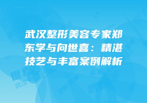 武汉整形美容专家郑东学与向世喜：精湛技艺与丰富案例解析