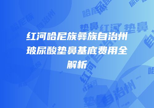 红河哈尼族彝族自治州玻尿酸垫鼻基底费用全解析